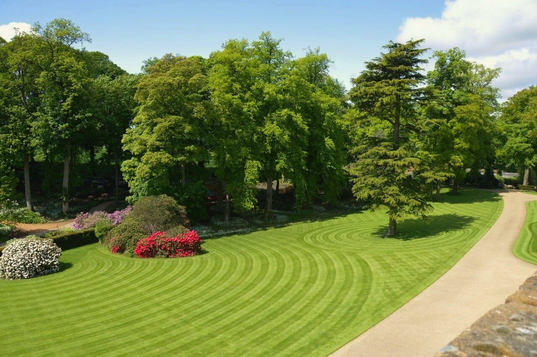 First place winner Allett creative lawn stripes competition
