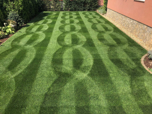 Creative Lawn Stripe Competition WINNER 2019 