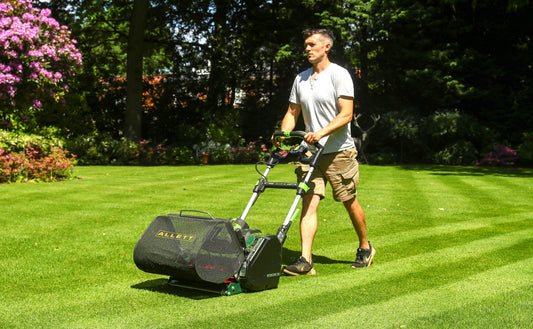 10 Reasons to Embrace Lawn Mowing and Spend More Time in Your Garden