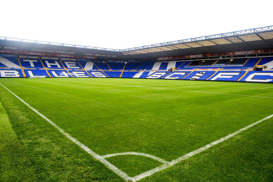 Allett Mowers Birmingham stadium