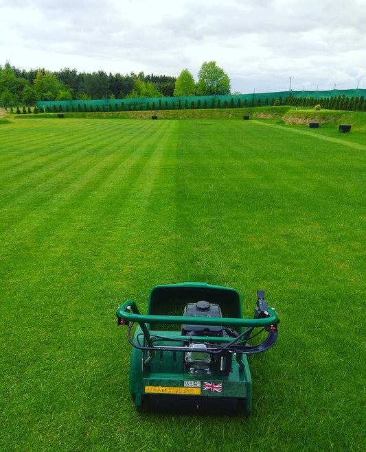 My Wimbledon Lawn- Bogusław Prokop, Poland