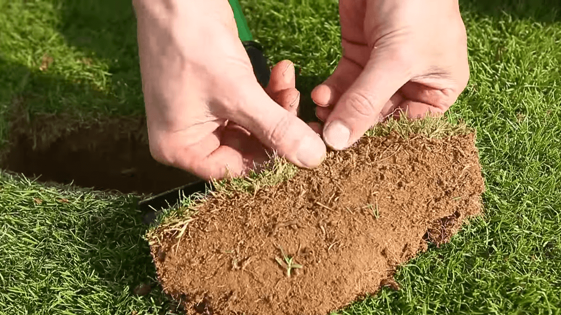 Let Your Lawn Breathe By Scarifying To Get Rid of Thatch – ALLETT Ireland
